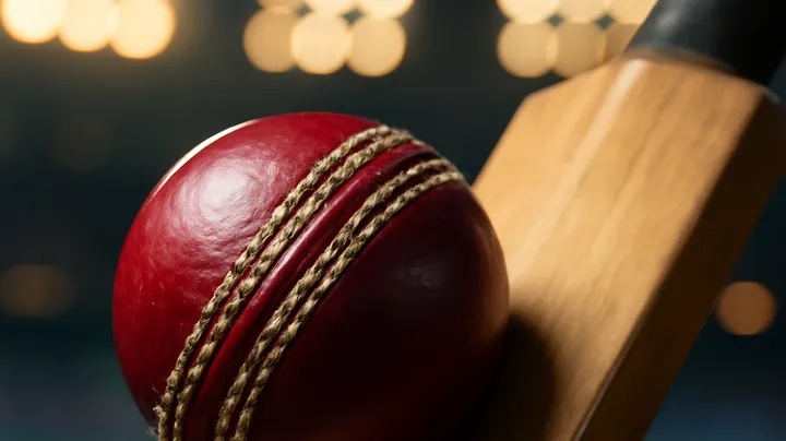 Diverse Sports Betting Options